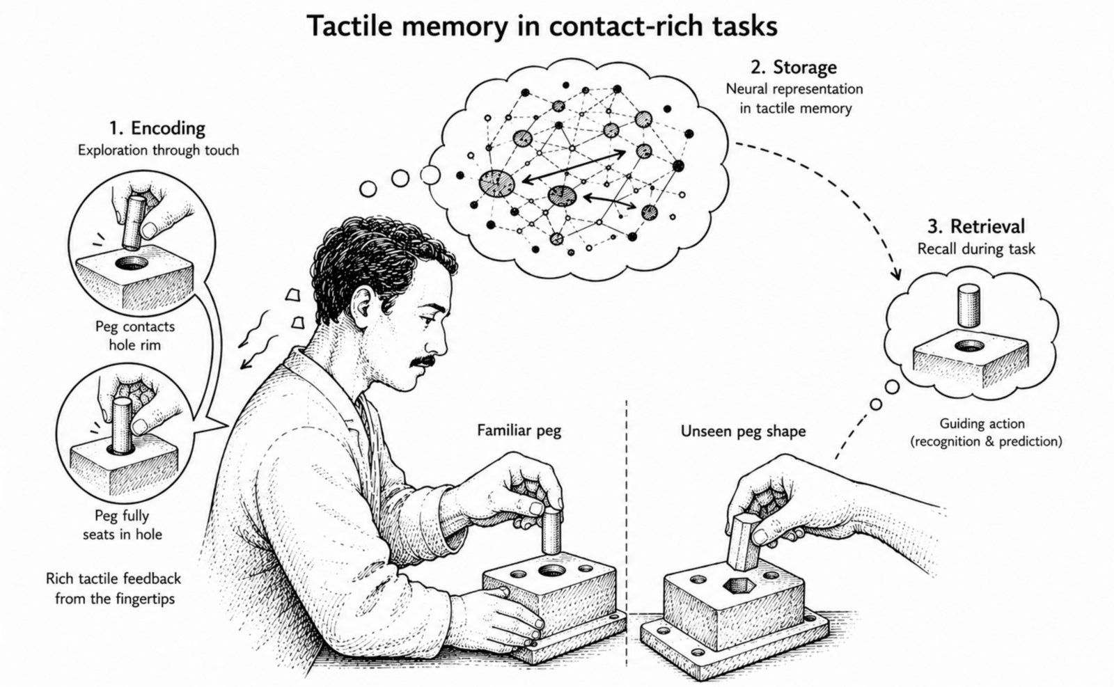 Tactile memory in contact-rich tasks: encoding through exploratory touch on a familiar peg, storage as a neural representation, and retrieval that guides insertion of an unseen peg shape.